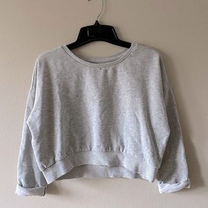 Zara Trafaluc Cropped Sweatshirt